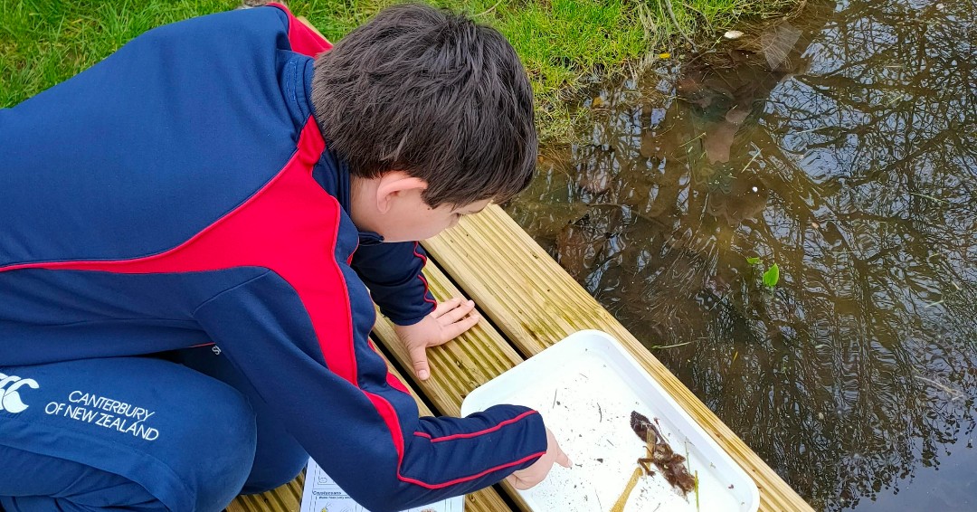 Sherborneprep's tweet photo. Our wonderful new pond has created a thriving Saturday morning activity club... and lots of very keen 'wildlife warriors'!
#pondlife #sherborneprepexplore #countryprep #friendsofsherborneprep https://t.co/afBYVTY1LB