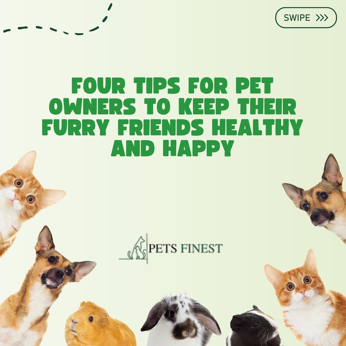 petsfinest's tweet photo. Pet Parents When it comes to our pets, we want to do everything we can to keep them healthy.
.
🥰These tips will help you keep your furry friend in good shape.

🌐 https://t.co/7eDk4Nyq4K
.
#peta #petcare #petparents #pettips #pethealth #pethealthtips #petdiet #doglover https://t.co/CeUrx9CB5J