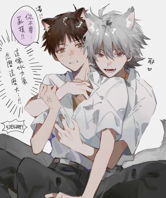 🐶🐱