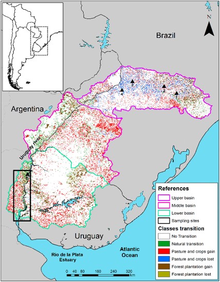 SLT_Divulgacion's tweet photo. 🟢 #CIANOBACTERIAS Y #AGRICULTURA: EL VÍNCULO DETRÁS DE LAS FLORACIONES TÓXICAS
📡 https://t.co/eGzCd2klMT

#UBA #FAUBA #SLT #UDELAR #CONICET #IFEVA @vpineyro @diegowassner @JMonkes @pagina12 @cadena3com @CRAprensa @agro_produccion @elabcrural https://t.co/E8iCItCppU