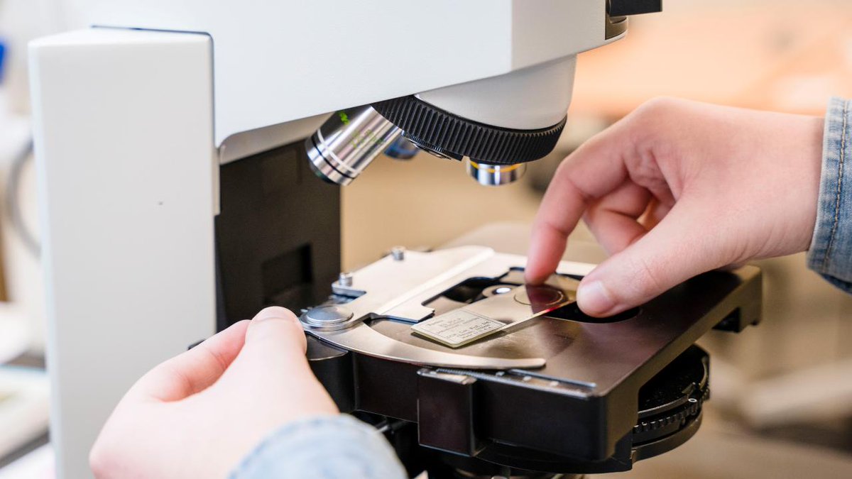 Made possible through a more than $30,000 Project Innovation Grant from the South Dakota Space Grant Consortium, Augustana announces its new STEM Scholars Program, providing a diverse group of students with a strong foundation for success.

READ MORE ➡️ bit.ly/40T5U8x