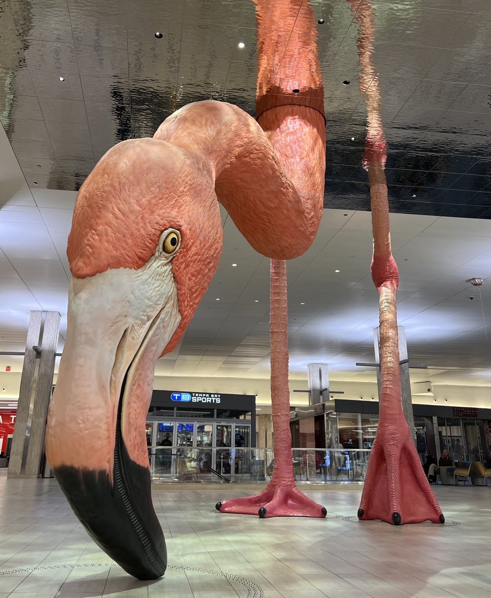 Bravo Tampa Airport.