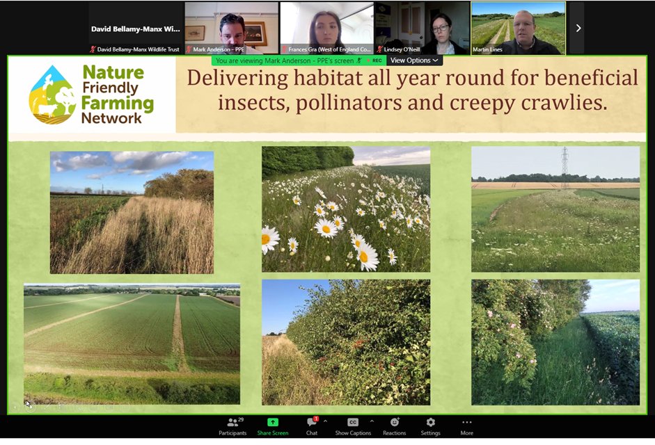 Great to dial into a presentation by @LinesMartin of @NFFNUK today, explaining how making space for #pollinators through margins & buffer strips can increase crop yield & support so much wildlife. Support for these is available under @iomdefa #AgriEnvironmentScheme👌@manxnature
