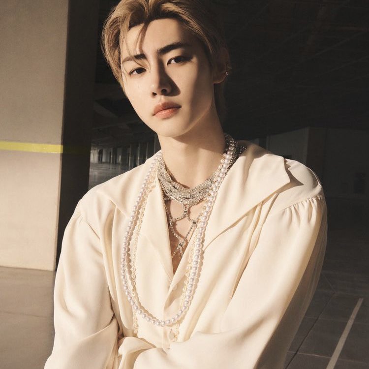 pshkive's tweet photo. royal concept was literally made for sunghoon https://t.co/6CNCPK9Odt