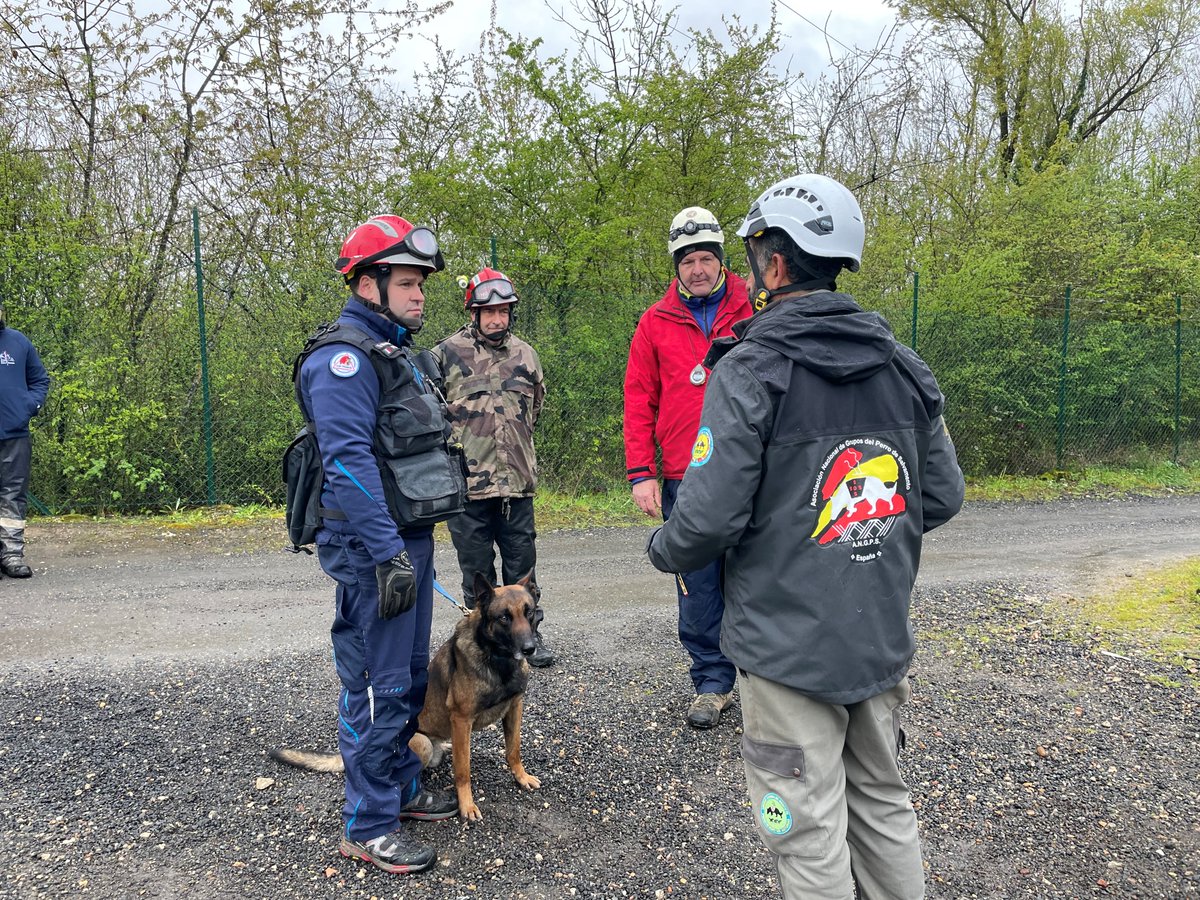 irodogs's tweet photo. Almost 30 International Testing Events are scheduled in our training programme this year. One of them recently took place in France. 🇫🇷 The search and rescue dog teams 🦮⛑️proved their skills in #AreaSearch and #RubbleSearch.
📷CSP France
#IRODogs #SearchandRescue https://t.co/ltPSlVfMnI