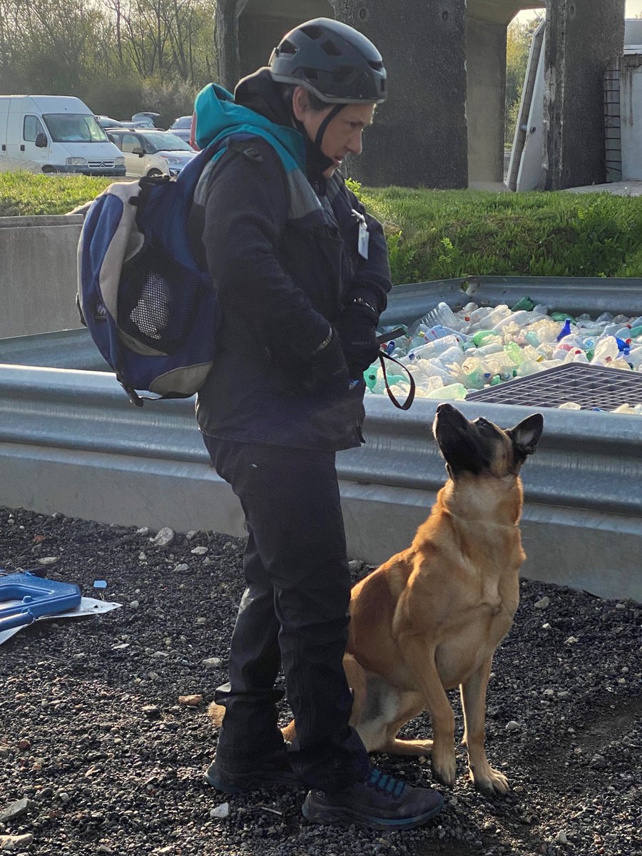 irodogs's tweet photo. Almost 30 International Testing Events are scheduled in our training programme this year. One of them recently took place in France. 🇫🇷 The search and rescue dog teams 🦮⛑️proved their skills in #AreaSearch and #RubbleSearch.
📷CSP France
#IRODogs #SearchandRescue https://t.co/ltPSlVfMnI