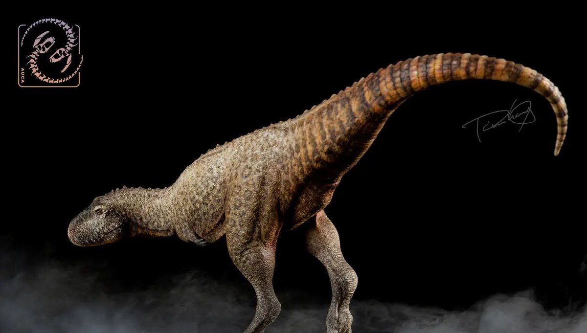 x_seaver's tweet photo. Aucasaurus &amp; Bajadasaurus sculpt by Tison in 2019. Painting by Tison. These three statues are currently in my collection room.
#Dinosaur #Aucasaurus #Bajadasaurus https://t.co/3HHRjr33gz
