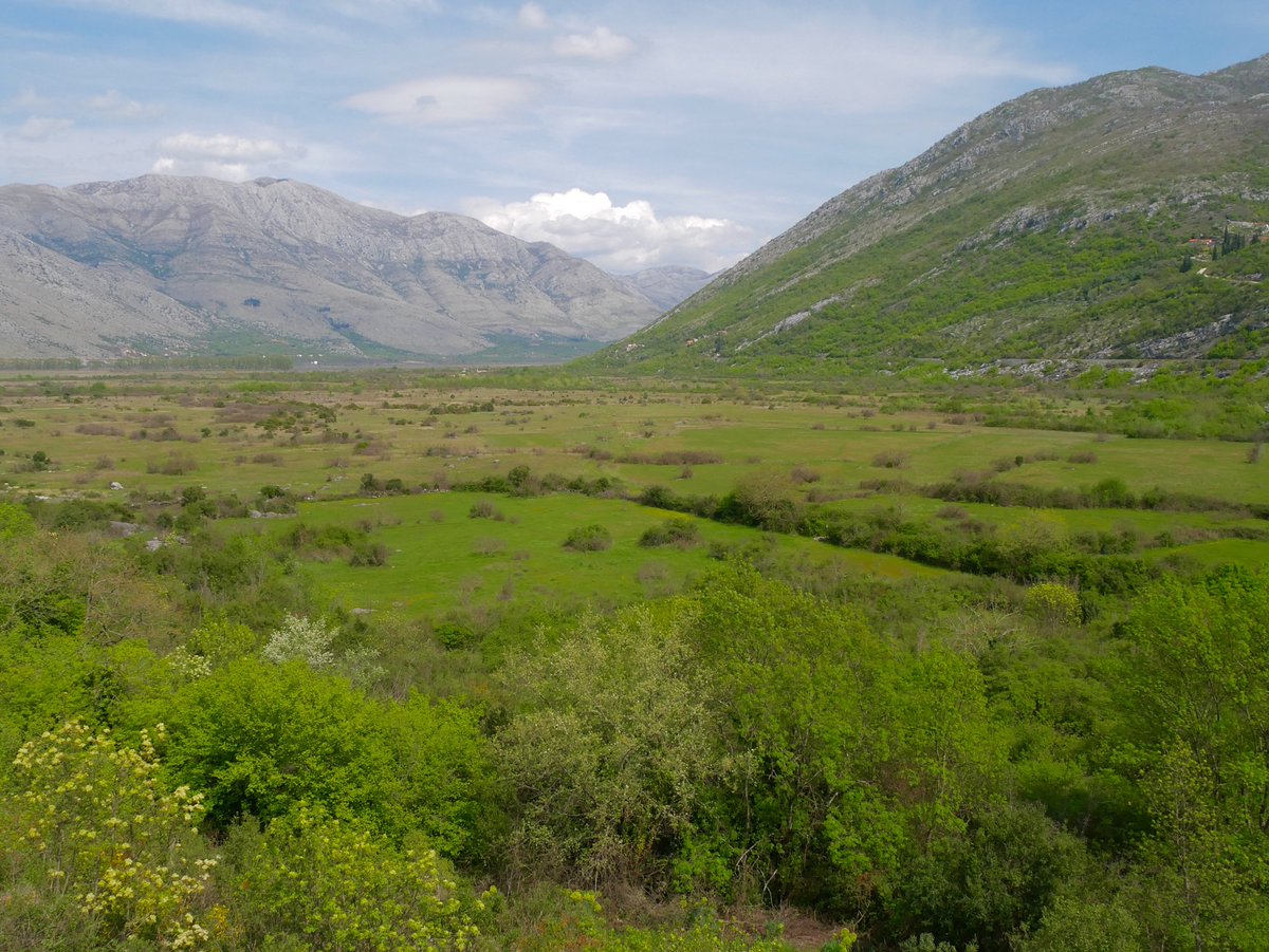 On Sunday I returned from a trip to Herzegovina. Thank you Wild Herzegovina (wild-herzegovina.com). Here are some pics from day 1: landscape, a sub-adult golden eagle, and the same bird with a disgruntled peregrine.