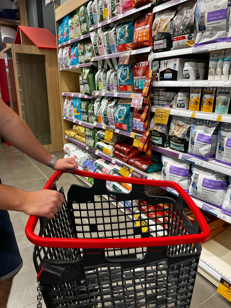 CatBonk1's tweet photo. Today, we bought some cat goodies with our #Binance    card for a 🐈 shelter 🫡 Tomorrow, we are volunteering there. Catbros are working on their last roadmap millestone 💪 Stay tuned. https://t.co/EGWaIf8boZ