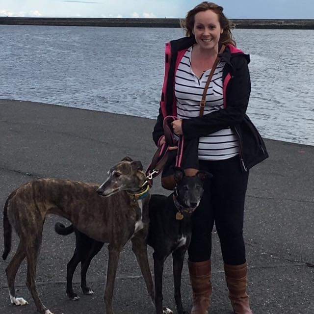 Oscar & Ruby 🐾 Daragh 🌈 Coco 🌈 tweet media