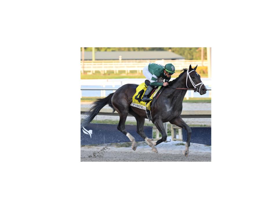 1chssem's tweet image. Tapit Trice is an underdog horse that has won its last 4 races. It will be very fun seeing this horse at the Kentucky Derby on May 6th. #TapitTrice #Underdog #Horse @ChuchillDowns @KentuckyDerby @TapitTrice