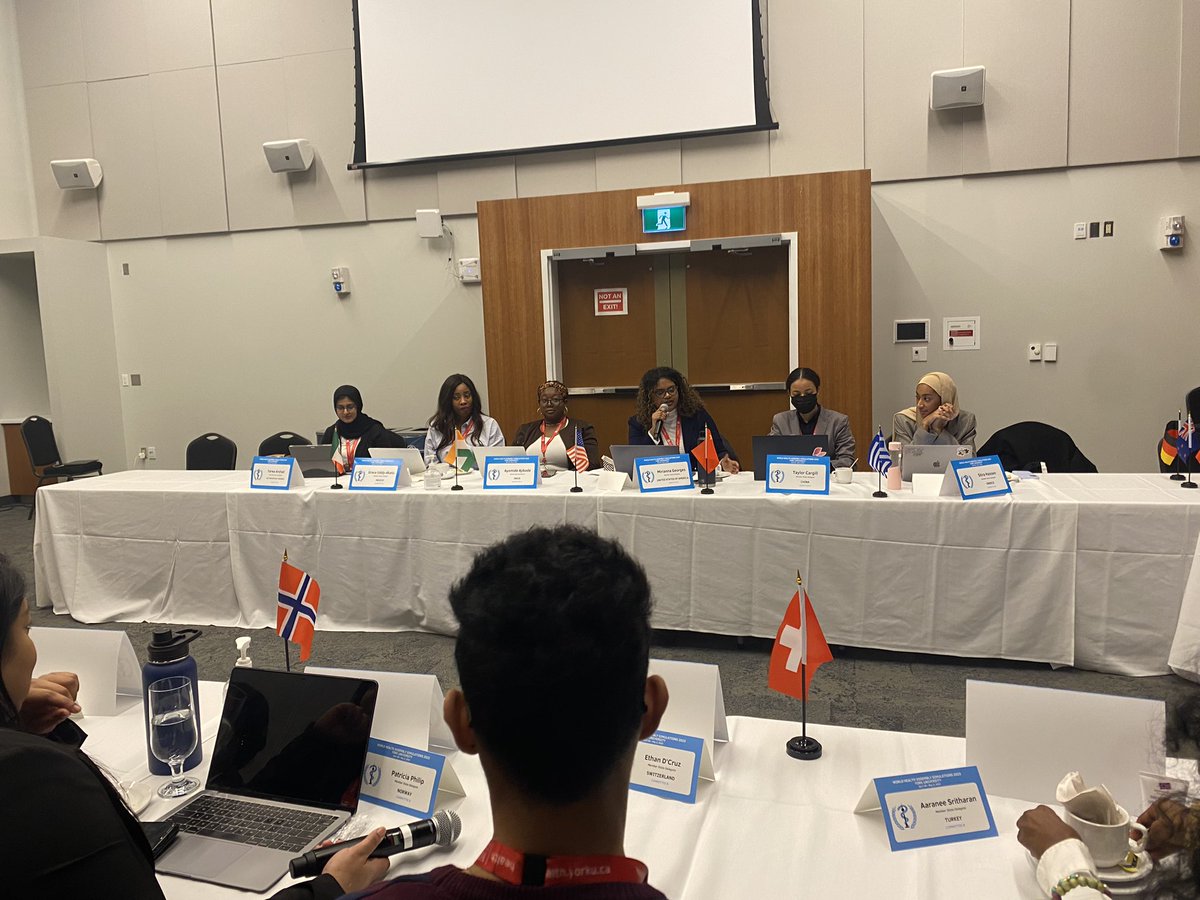 GHWHASIM's tweet photo. Committee B: Arguing pros and cons of AI #GHWHASIM @Ahmadfiraskhali @YUGlobalHealth https://t.co/kESG7Rf3Tl