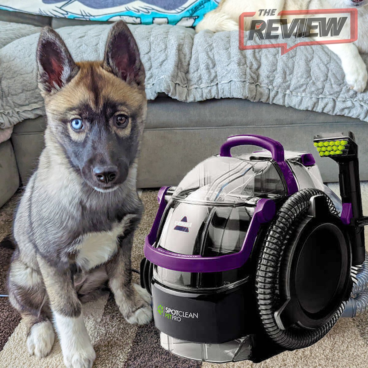 SpotClean Pet® Pro Portable Carpet Cleaner 2458