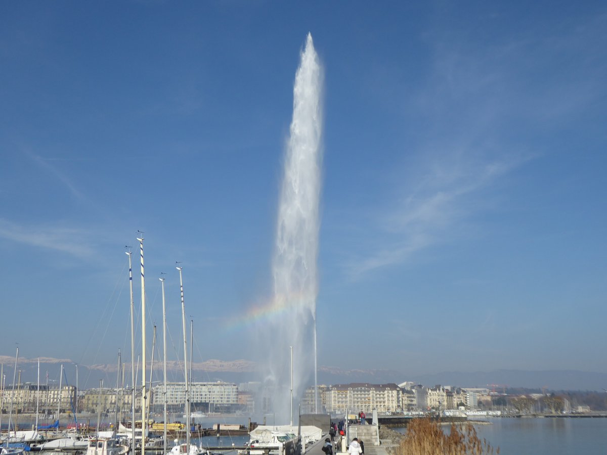 Caves Ouvertes de Genève, 13 mai 2023 guideduvin.ch/caves-ouvertes… #geneve #geneva #vin #suisse #wein #schweiz #wine #swisswine #switzerland #vino #svizzera #winetasting #winelover #winelovers #gastronomie