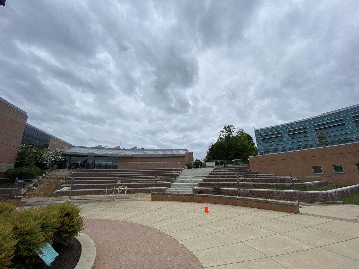 Conor Curran tweet media