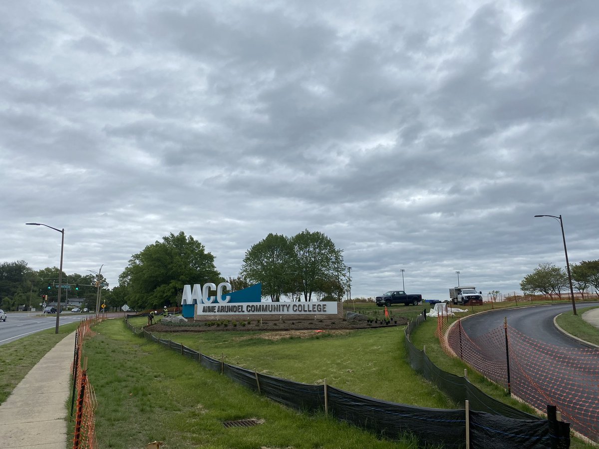 Conor Curran tweet media