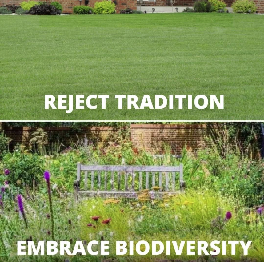 No Mow May is under way! #NoMowMay encourages people to resist the call of the lawn mower and leave lawns untouched until the end of May for the benefit of:

🐝 Hibernators 
🦋 Hungry pollinators 
🌿 Biodiversity!
💰 Money and resources
⏱️ Time

Don't 🐝 a mow it all #NoMowMay