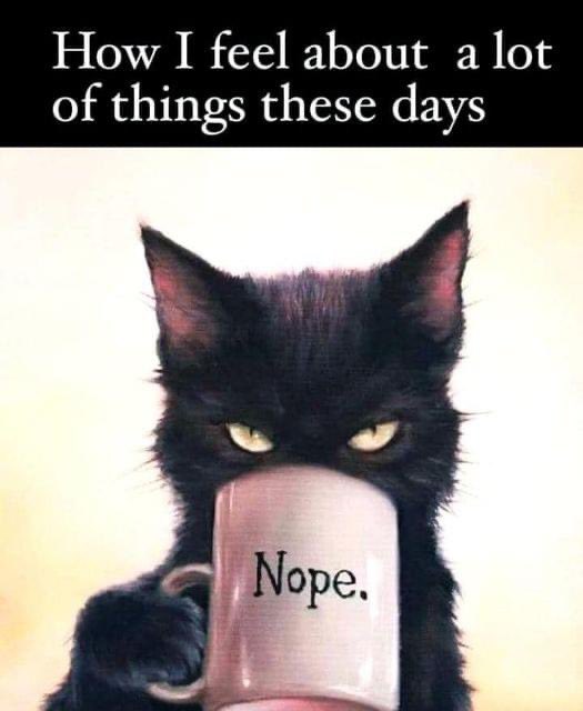 Red Storm tweet media