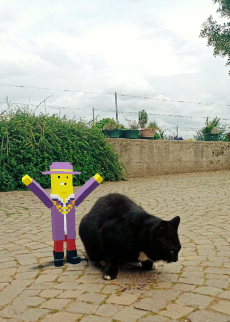 Taikonauta ☄️🪐🚀 tweet media