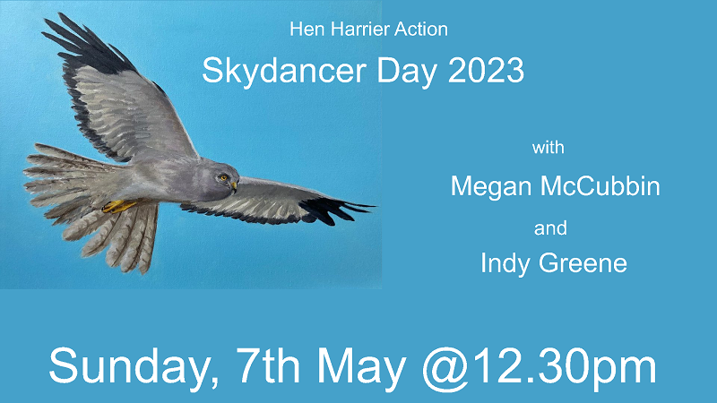 HHDayUK's tweet photo. Is your comfy chair ready? Is the coffee on? #skydancerday @Lucy_Lapwing https://t.co/TIjZDfH7a0