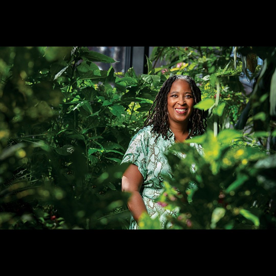 mfagreensboro's tweet photo. For this poet, working on her garden is exploring history, race and sustainability - @UNCG MFA Writing Program alum Camille Dungy interviewed on @NPR's @npratc https://t.co/6ydD4CUsT6 @mfagreensboro
@UNCG_ENG
@UNCG_CAS #UNCGAlumni #UNCGWay #FindYourWayHere https://t.co/i6C5ZqJYAi