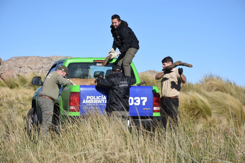 CompCba's tweet photo. 🌳La actividad se realizó con el objetivo de proveer de leña a los pobladores de la región, ya que es el principal insumo para calefaccionarse, a cambio de que protejan el #tabaquillo y el #maitén, especies nativas de los bosques de montaña de #Córdoba. 🌾 https://t.co/cNDEcySSE4