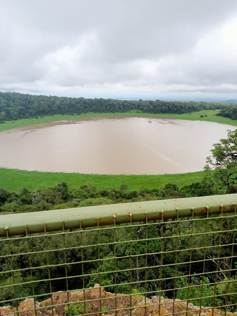 Galm Dida tweet media