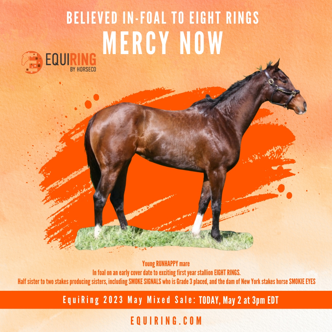1EquiRing's tweet photo. 🚨Don't #miss this Young #RUNHAPPY #mare🚨 
Half sister to two stakes producing sisters, including SMOKE SIGNALS who is #G3 placed, and the dam of #NewYork stakes horse SMOKIE EYES. In foal on an early cover date to exciting first year stallion EIGHT RINGS https://t.co/amNdsdg2pd https://t.co/YaEoNjxchK