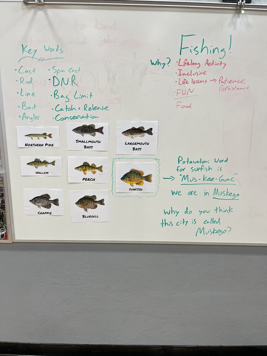 CoachCDSmith's tweet photo. Love this unit where students at @MVWolves get to learn and share what they know about FISHING! We learn about different fish in our area as well as conservation! #PhysicallyActive4Life #Inclusive @MuskegoNorwaySc @WDNR @BassProShops https://t.co/SQWkFcxstV