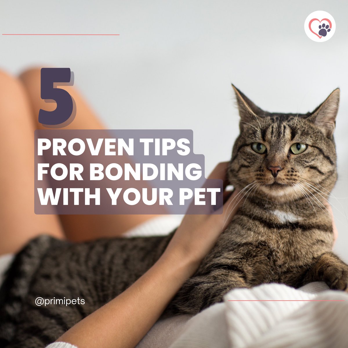 PrimiPets's tweet photo. Did you know this about earning your pet’s love? 🥹💕 https://t.co/vn1ESmXu0x