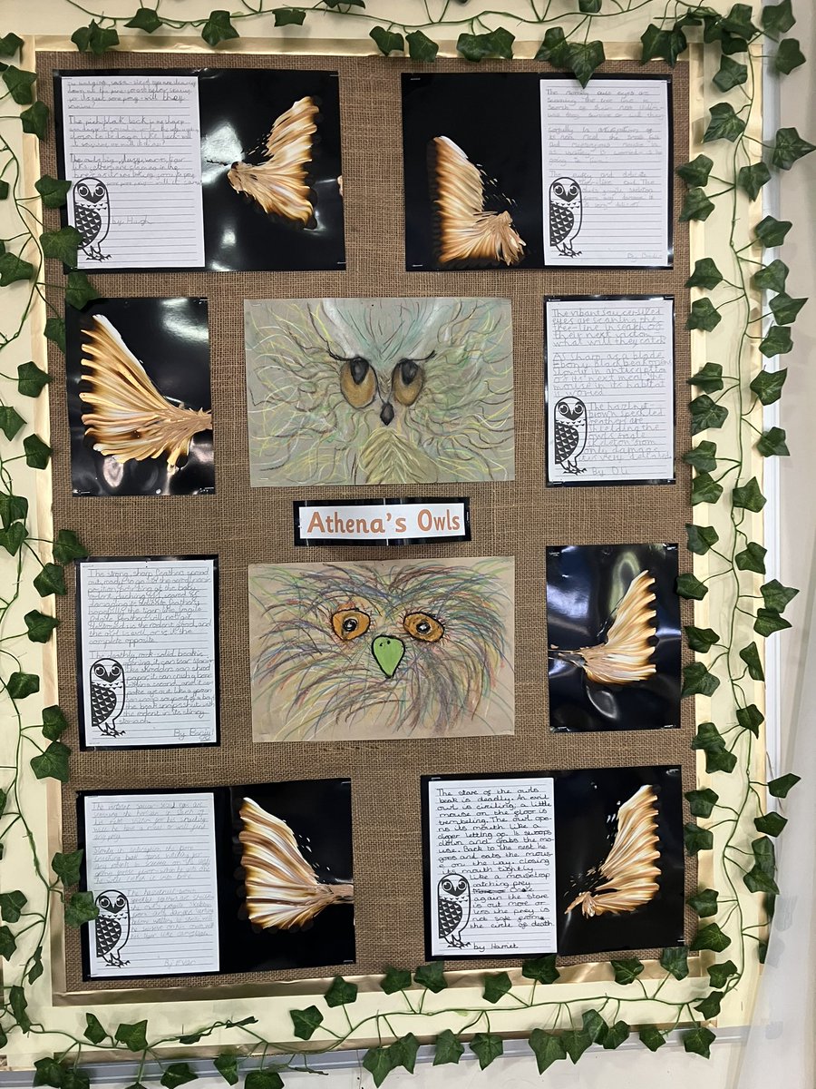 timcrouch6's tweet photo. @JohnHellins In Hodgkin Class during our Greek topic we have seen how important owls are in Greek Mythology - here is some of our work on display. https://t.co/3q3OXXSJOQ