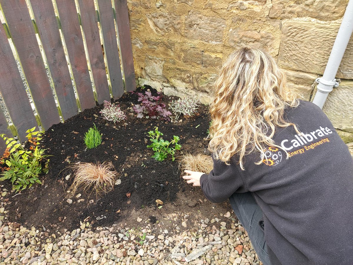 EnergyCalibrate's tweet photo. We love a bit of team building at Calibrate! Many hands made light work when it came to sorting out the office's garden ready for spring! 🌦️🌱 🌷 https://t.co/iA1XQwuWL6