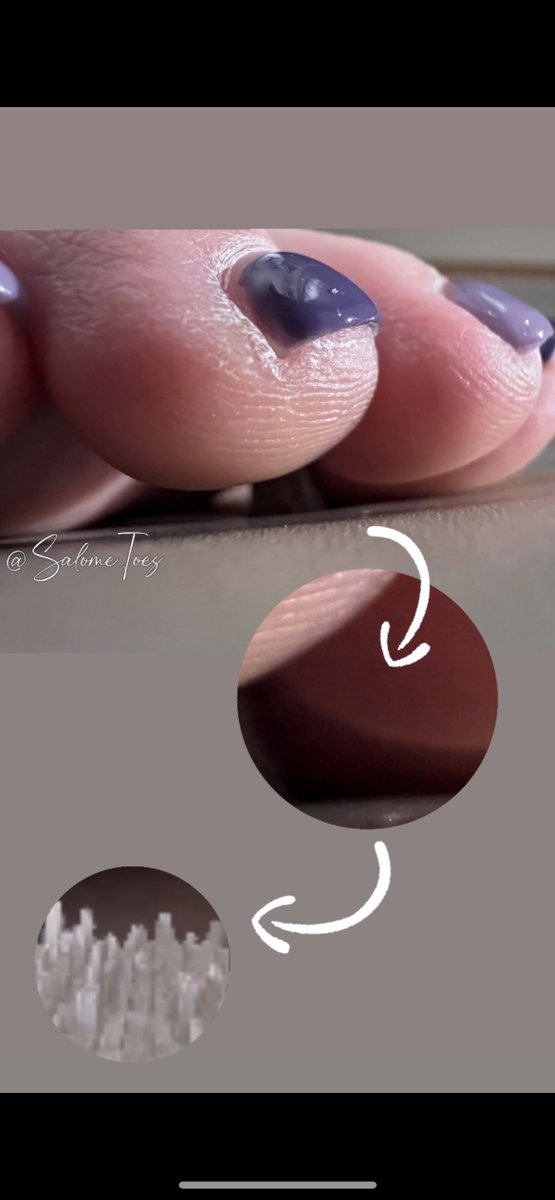 SalomeSaSa tweet media