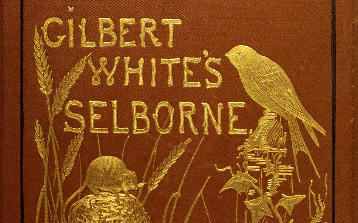 exitthelemming's tweet photo. April 18, 1768
The redstart begins to sing: its note is short and imperfect, but is continued till about the middle of June.
- Gilbert White, The Natural History of Selborne

I was feeling blue that nowadays I never know when the redstarts arrive, and am happy if I see two a year https://t.co/T816fdAoqr