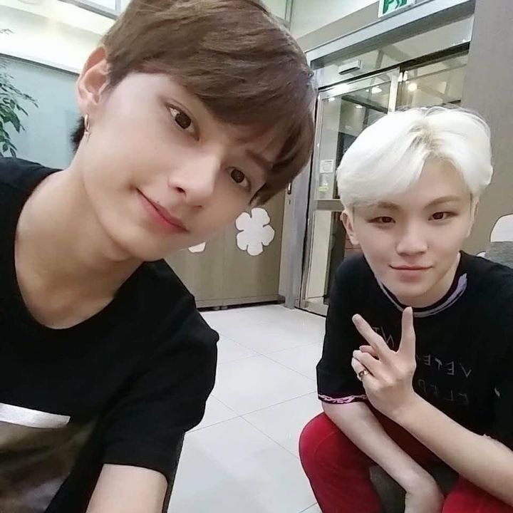 forjunhoon's tweet photo. i miss them https://t.co/nqUWEtLFBT