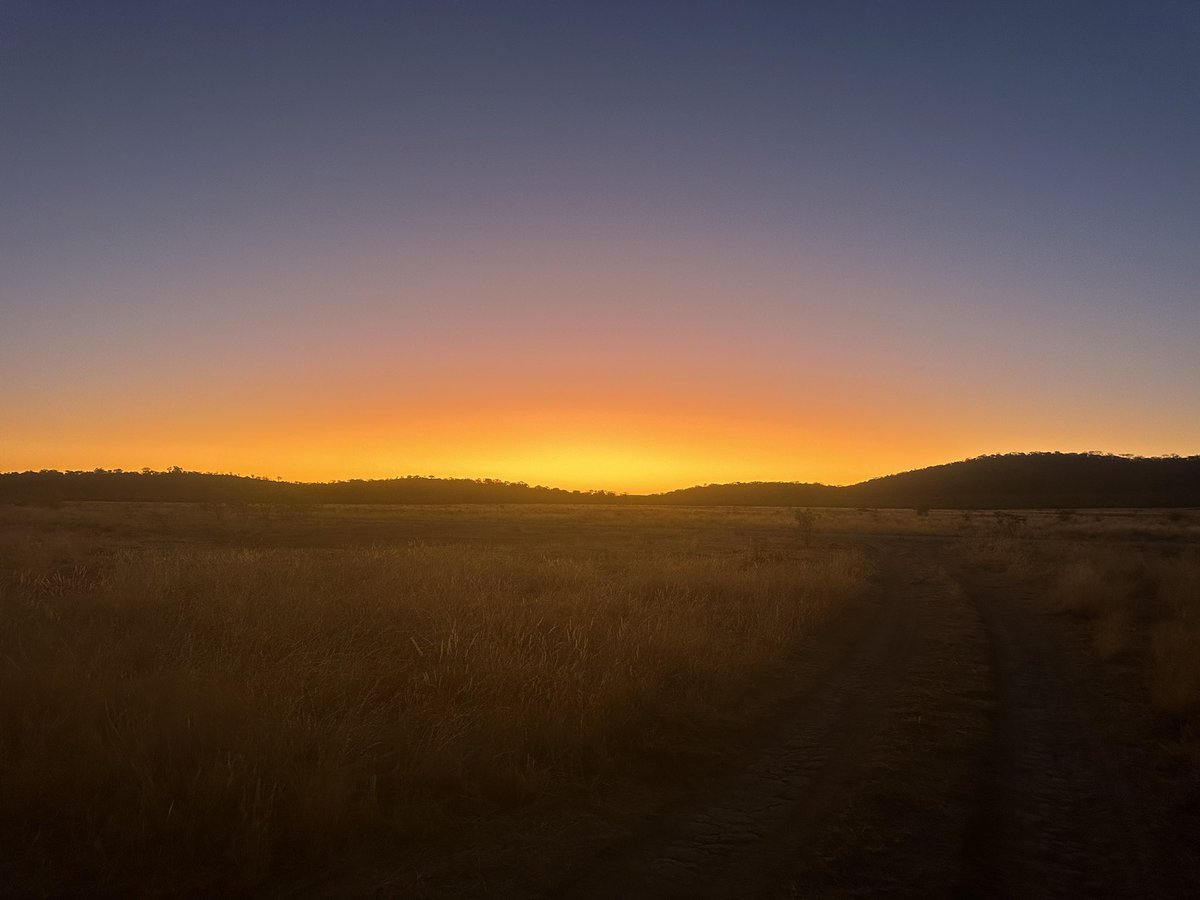 14emdea's tweet photo. Namibian sunset from my trip in November. Absolutely stunning. It was like a fire in the sky and another dimension of this earth #wildearth https://t.co/rBAPiSlguU