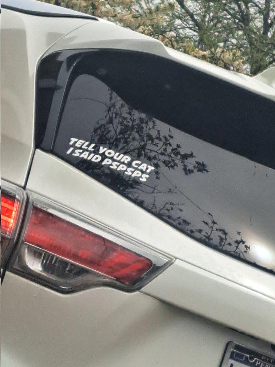 Fantoma/Toly (@fantomavi) on Twitter photo 