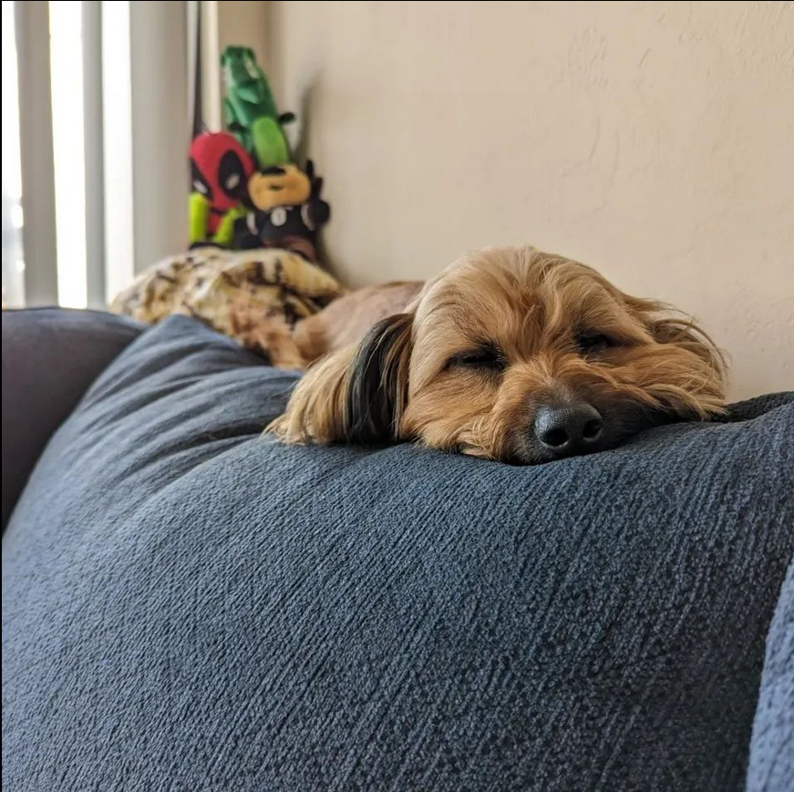 Adam Wolach, MD tweet media