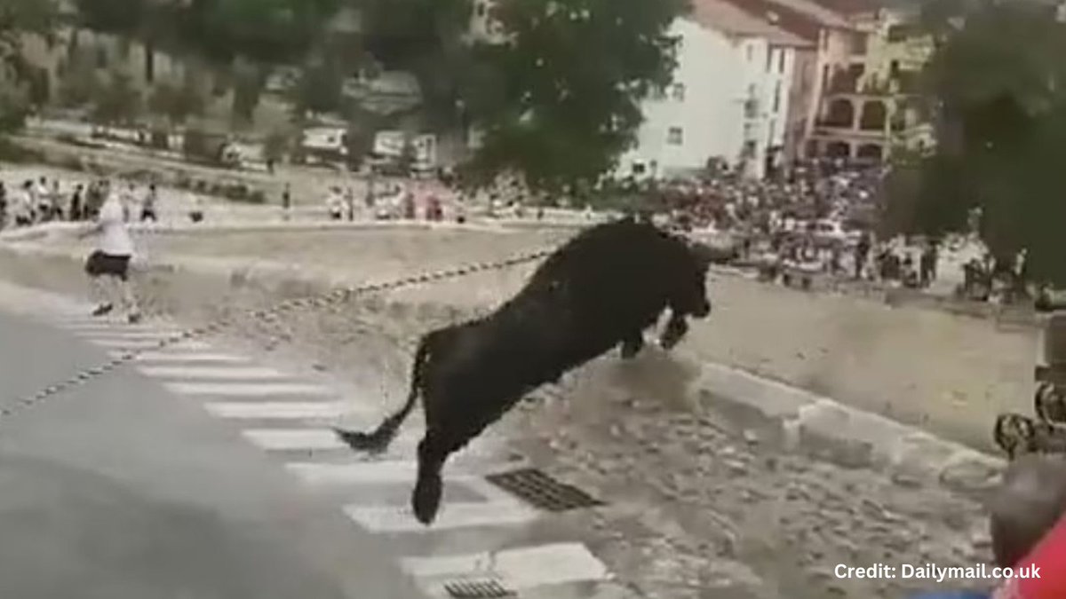AnimalDefenders tweet picture