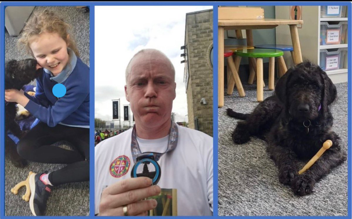 Nitronica tweet media