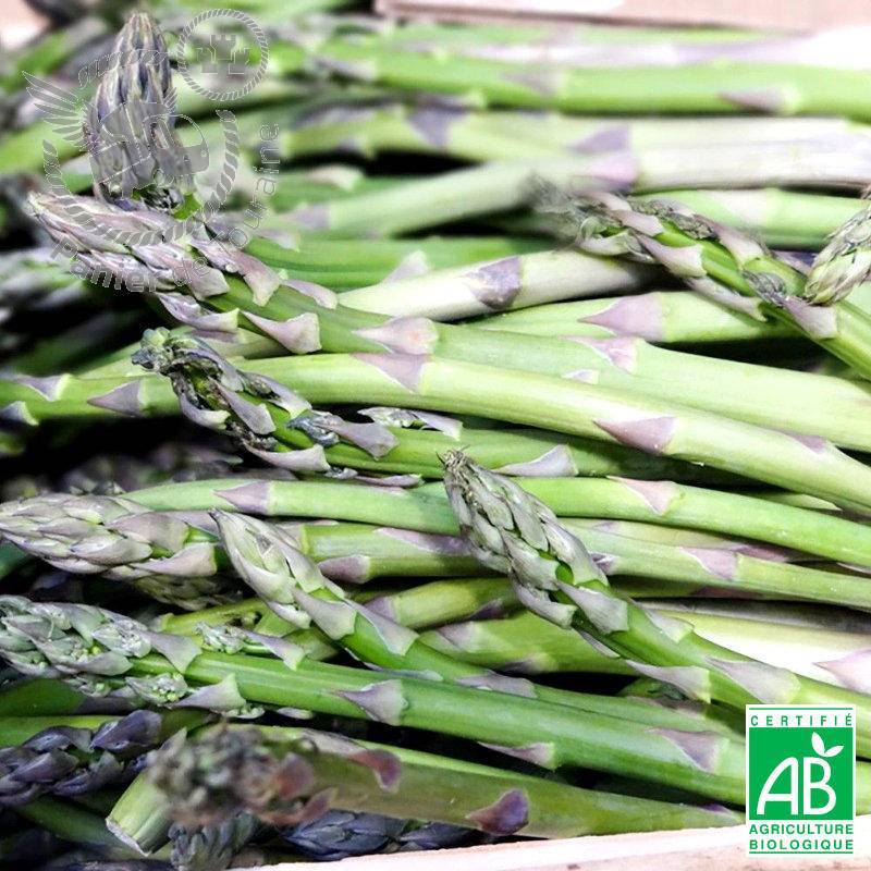 PanierTouraine's tweet photo. 😄 Il est temps de faire vos courses de produits locaux ! - https://t.co/h3MWbnmx5A https://t.co/p7Crjpo8Pr