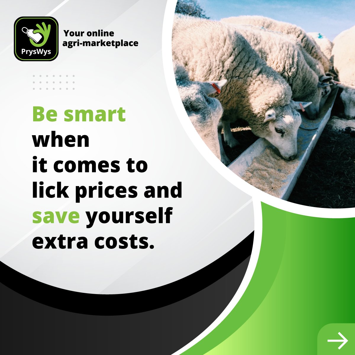 TeamSwiftVEE's tweet image. Dry-season months are expensive for livestock farmers due to the supply of licks to overcome low veld protein and low animal intake.  Be smart when it comes to lick prices to save yourself additional costs. 

Get a lick quote on PrysWys today. 

pryswys.com