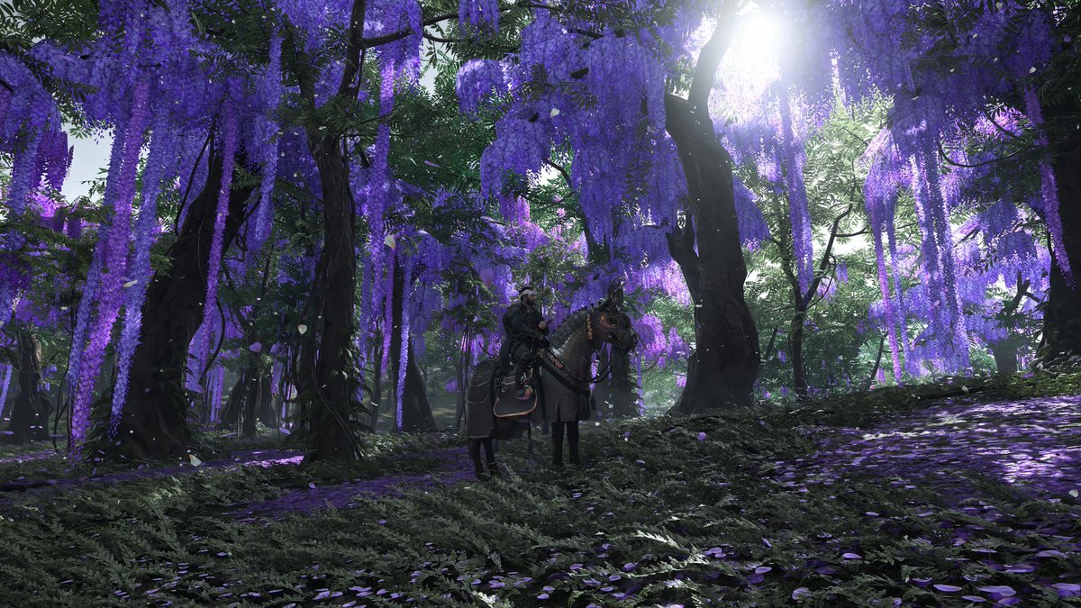 #VirtualPhotography #photography #PhotoMode #GhostOfTsushima #IkiIsland