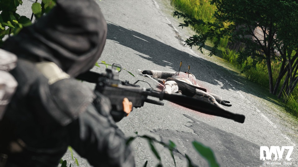 DayZ 🖥 🎮 ❤️ tweet media