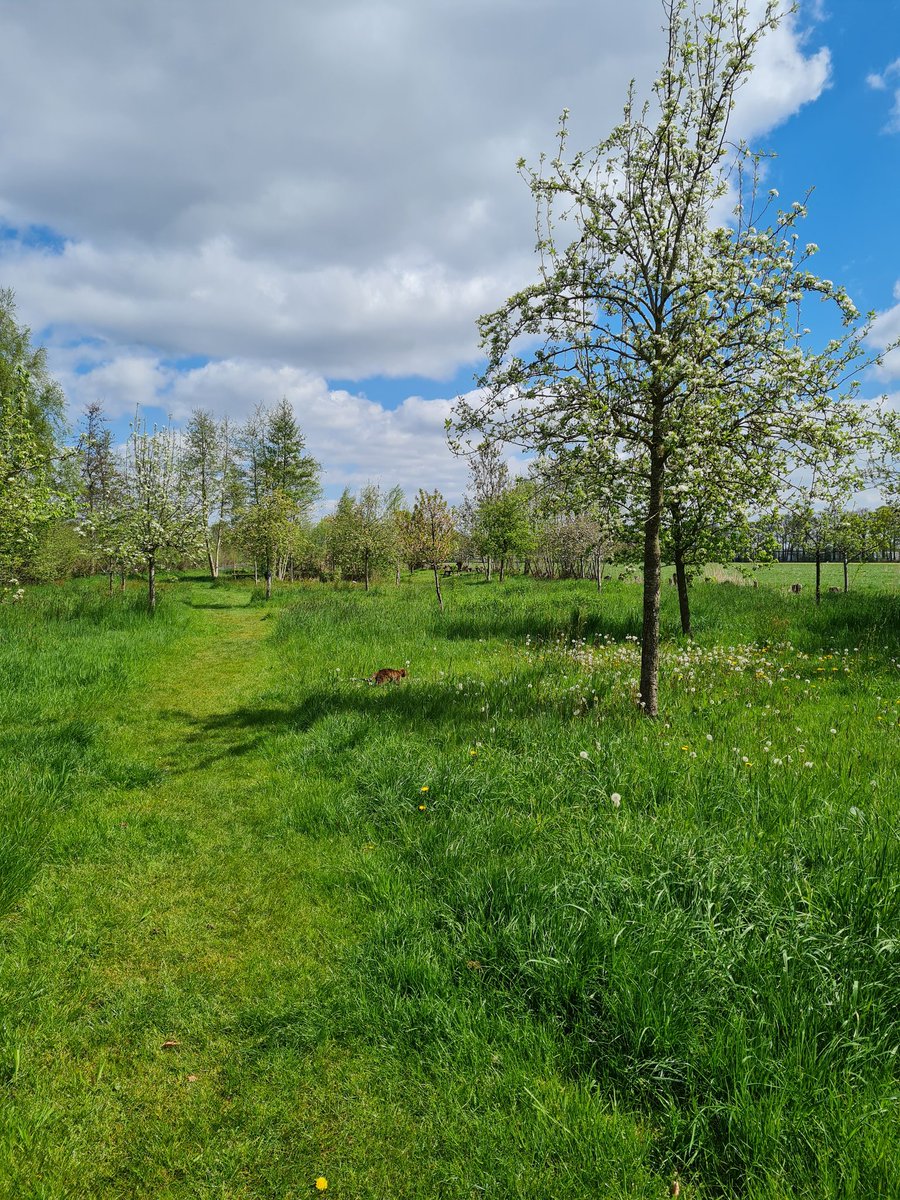 AnitaPeeters's tweet photo. Vandaag lekker gewerkt op de #zorgboerderij wat 'n prachtig plekje is 't die natuur is #beeldschoon daar ik geniet er nog iedere x van! Morgen #jarig zijn! 🥰 #feesje #plukdedag #pakjemomenten #leefinhetmoment en #laatlos #Namaste 🙏🍀😇❤️ https://t.co/twntEBm7lh