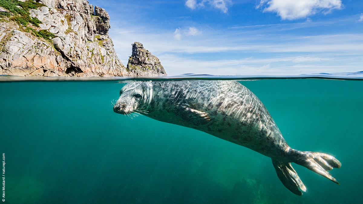 WWF UK tweet media