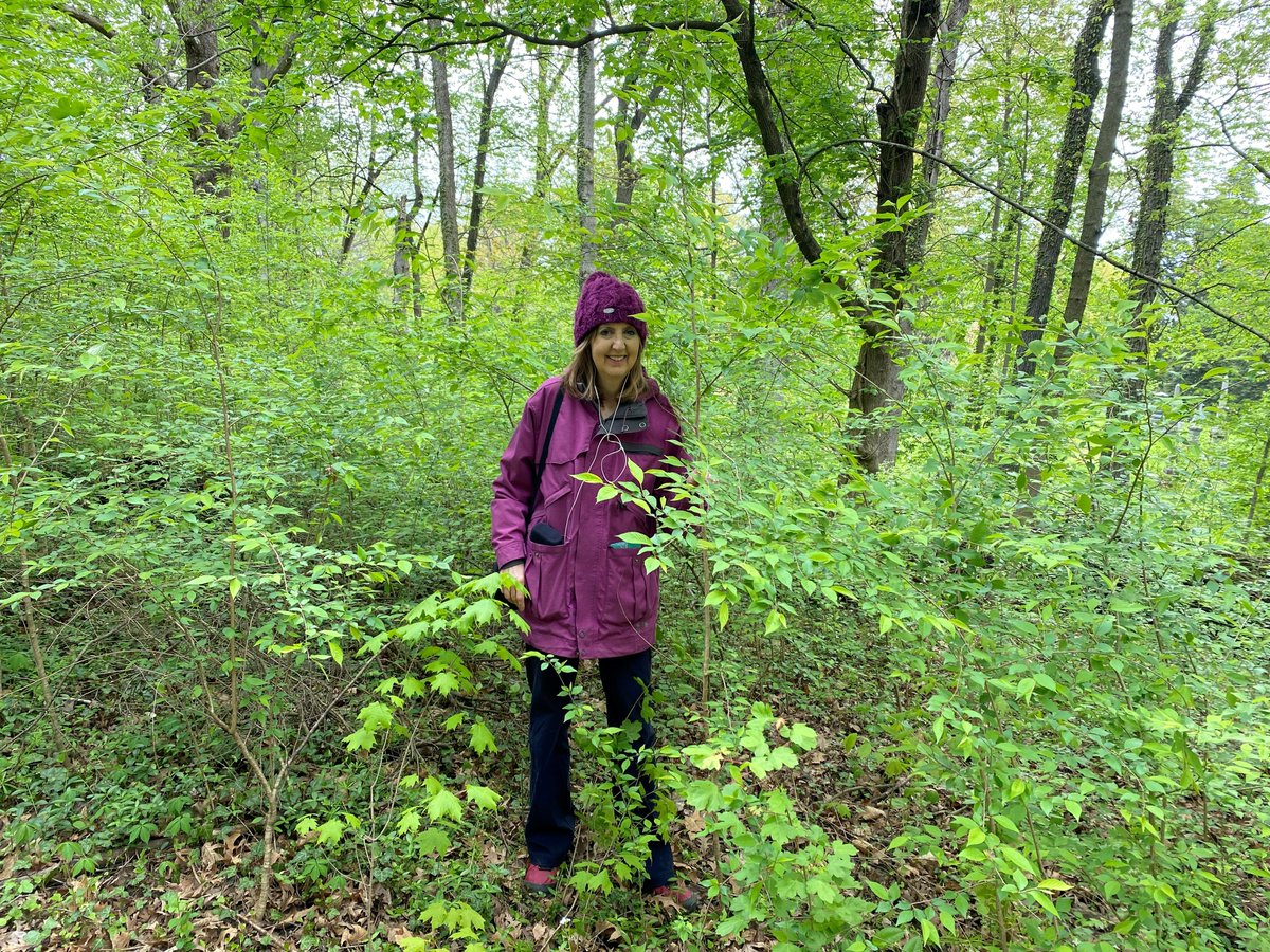 I'm surrounded by Higan cherry and <a href="/BiologyUC/">UC BIOL Sciences</a> 's Denis Conover says that's not good. Increasingly invasive plants are becoming a problem in Cincinnati and beyond. <a href="/CincyParks/">Cincinnati Parks</a> is also trying to solve the issue. wvxu.org/environment/20…