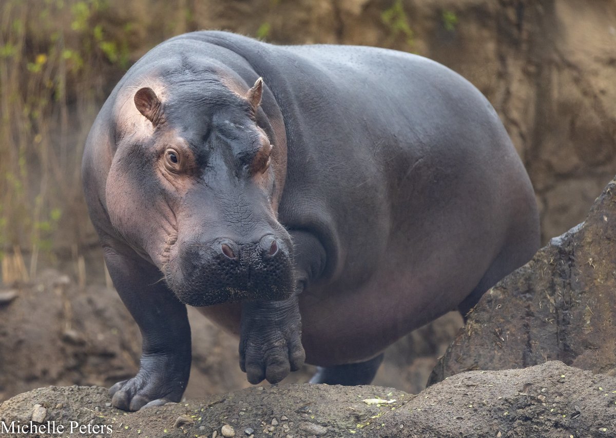 Fiona 🤩🤩 #TeamFiona