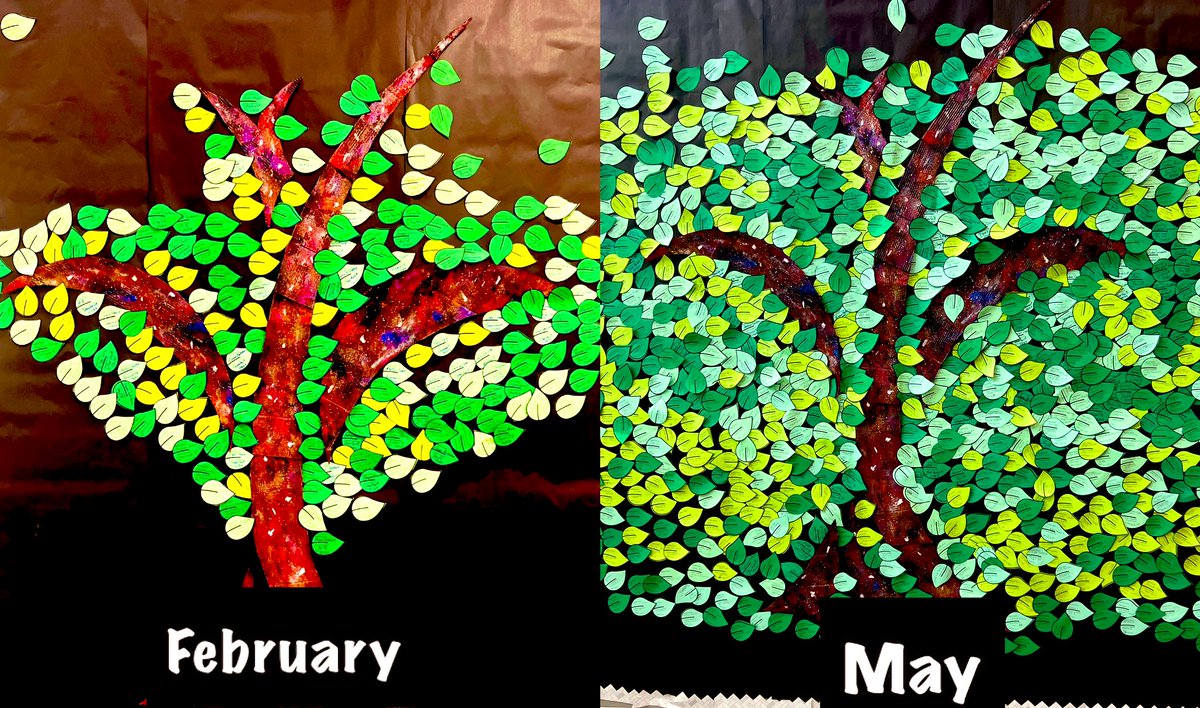 #TuesdayTreeUpdate Look at how many courses our students have finished since February!!! Each leaf represents one course. We are so proud of our amazing and hardworking kids. #RainesAcademy #KatyISD #GrowingToday #LeadingTomorrow