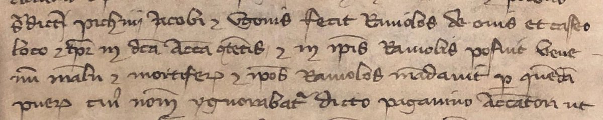 Taught #Latin #palaeography today. Of course I used one of my favourite court records (from 1336): an #Italian-style attempted murder involving poisoned #ravioli. The victim ate them with his friends, but thankfully was fine & lived on to report this (not so) yummy crime. 🇮🇹 ☠️